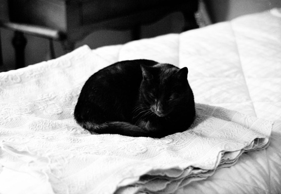 DSC_0657 copy 2 TRA's Bitchin B&W DSC_0657 copy 2 TRA's Bitchin B&W