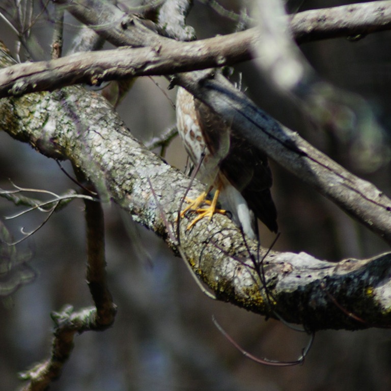 [DSC_0214 copy 2[5].jpg]