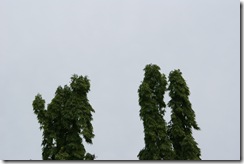 DSC00466
