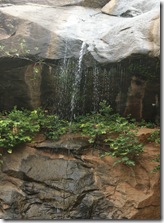 DSC00725