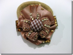 IMG_4154 IMG_4154