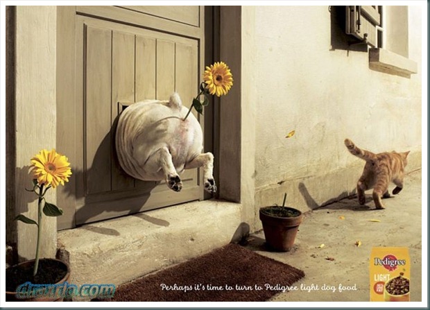 prints_13