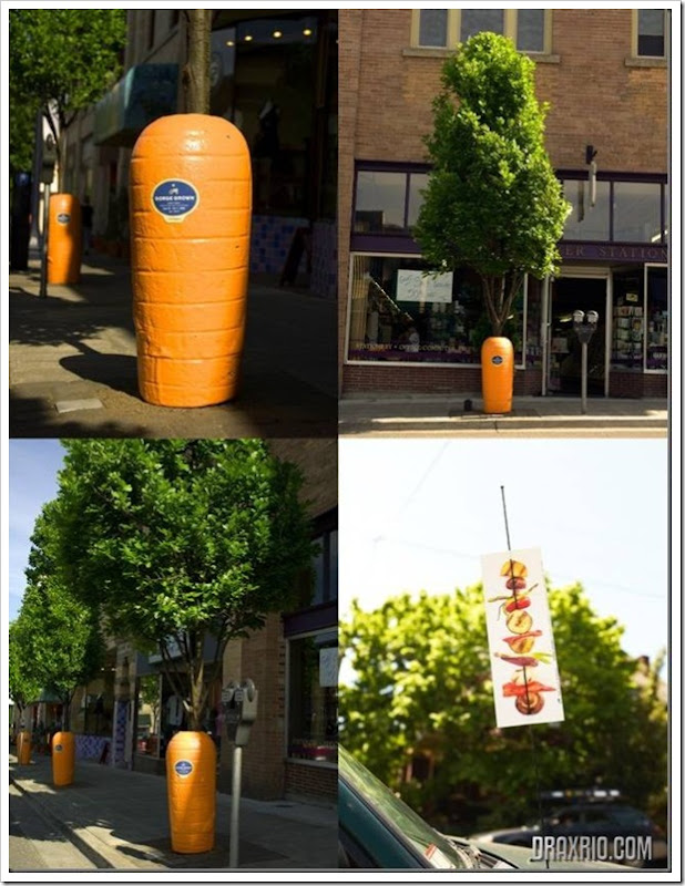 carrotwrap-1-thumb