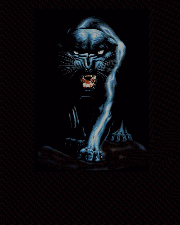http://lh3.ggpht.com/_BEPCKKqehrU/Sl8aWVnyeAI/AAAAAAAAAFs/HhyvlAv87Uo/s800/PANTERAGIF.png