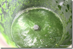 palak puree