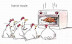 Reality TV - Horror movie for chickens.