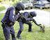 SWAT - Suspect: terrorist cat.
