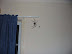 Giant spider - Fake or real? Maybe something like that is hiding under your bed.