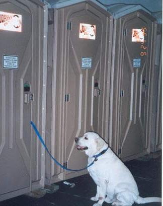 Room for one - Poor dog must wait outside while owner is smoking weed.