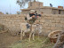 US marine - Just a common day in Iraq.