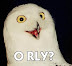 O RLY? - Yeah - really. Don't look so surprised.