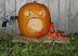 Halloween suicide - Suicide is a common outcome of depression.