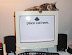 Place cat here - Cool computer desktop idea.