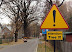 Beware! - Attention! Tree! Be very - very afraid!
