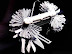 Swiss knife - Tell me one thing it can't do.