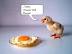 Please! - Jimmy! Answer me!