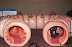 Rectal voyage - This is where teachers come from.