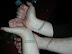 Fag stamp - Looks like a bunch of fags...