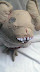 Teddy bear - Truly scary toy from hell.