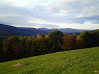 PA050701.JPG