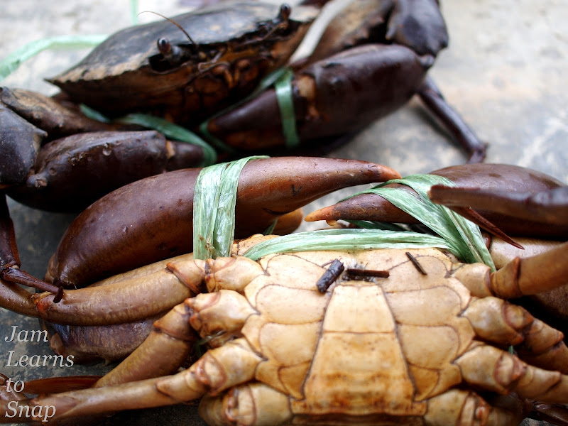 crab, food, photography, aperture