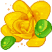 Gif de flor amarela