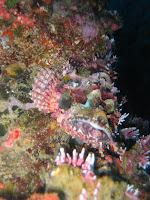IMG_2845.jpg