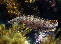 IMG_4054.JPG