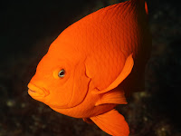 IMG_4419.JPG