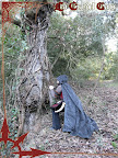 [Sesión Fotográfica al Bosc dels Somnis]