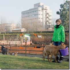 London City Farm