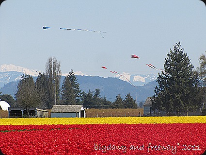 IMG_5755 IMG_5755