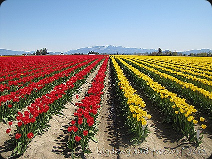 IMG_5757 IMG_5757