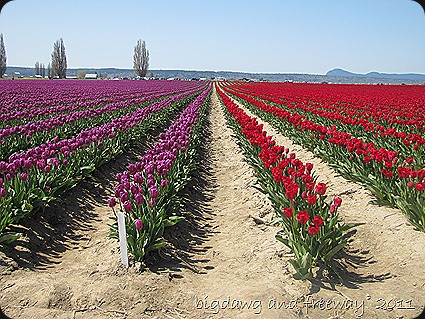 IMG_5759 IMG_5759