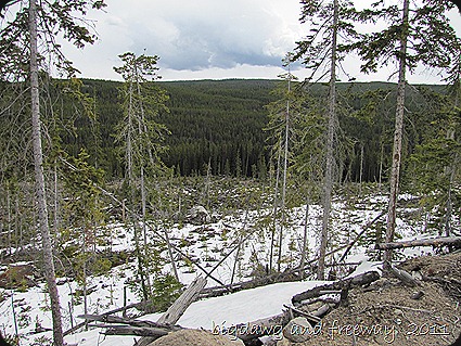 IMG_6076 IMG_6076