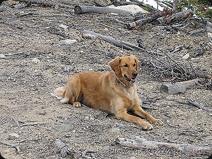 IMG_6081 IMG_6081