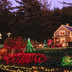 Holiday Lights, Shore Acres State Park, Oregon.jpg