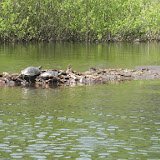 IMG_2400.JPG