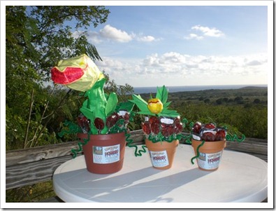 red lollipops in three flowerpots with origami Venus Fly Trap for Little Shop of Horors