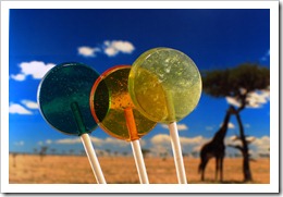 Turquose, Gold and Seafoam Green lollipops in the foreground; giraffe on savannah in background