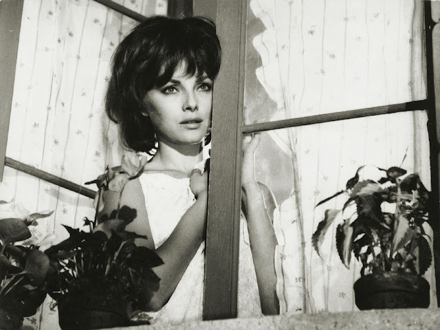 virna lisi