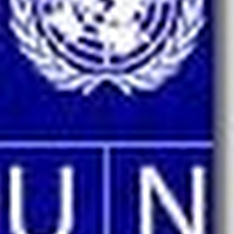 Contract posts by UNDP April-2014