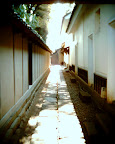20090429145001_VQ1015E.JPG