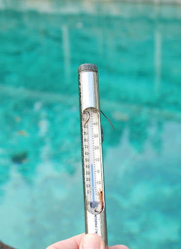 43 degrees F. I kid you not.