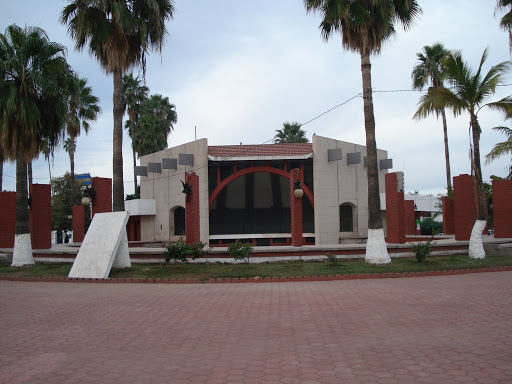navojoa