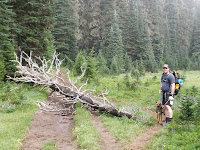 20090815_103158.JPG