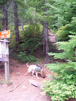 20091009_133719.JPG Photo
