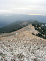 20091010_123908.JPG