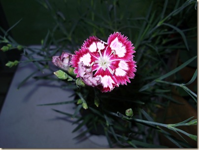 April2010 545