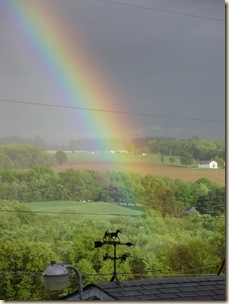 May2010 063